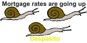 Mortgage Rates Are Going Up DespASITO