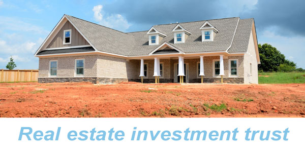 Real estate investment trust