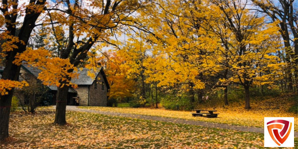 Region-of-Waterloo-Autumn